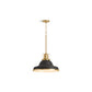 KOHLER K-32290-PE03-BML Hauksbee 18" Pendant In Black with Brass Trim