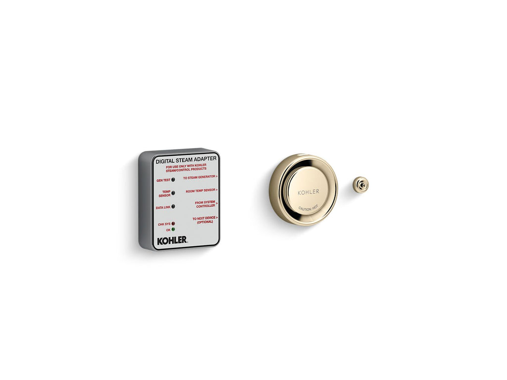 KOHLER K-5548-K1-AF Invigoration Series Digital Steam Adapter Kit - Vibrant French Gold