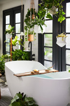 KOHLER K-28152-A4-NA Sprig Recharge Bath Bomb