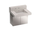 KOHLER K-81024-BSS-KED Constellation 30" Wall-Mount Lavatory System With Backsplash - Desertsilver