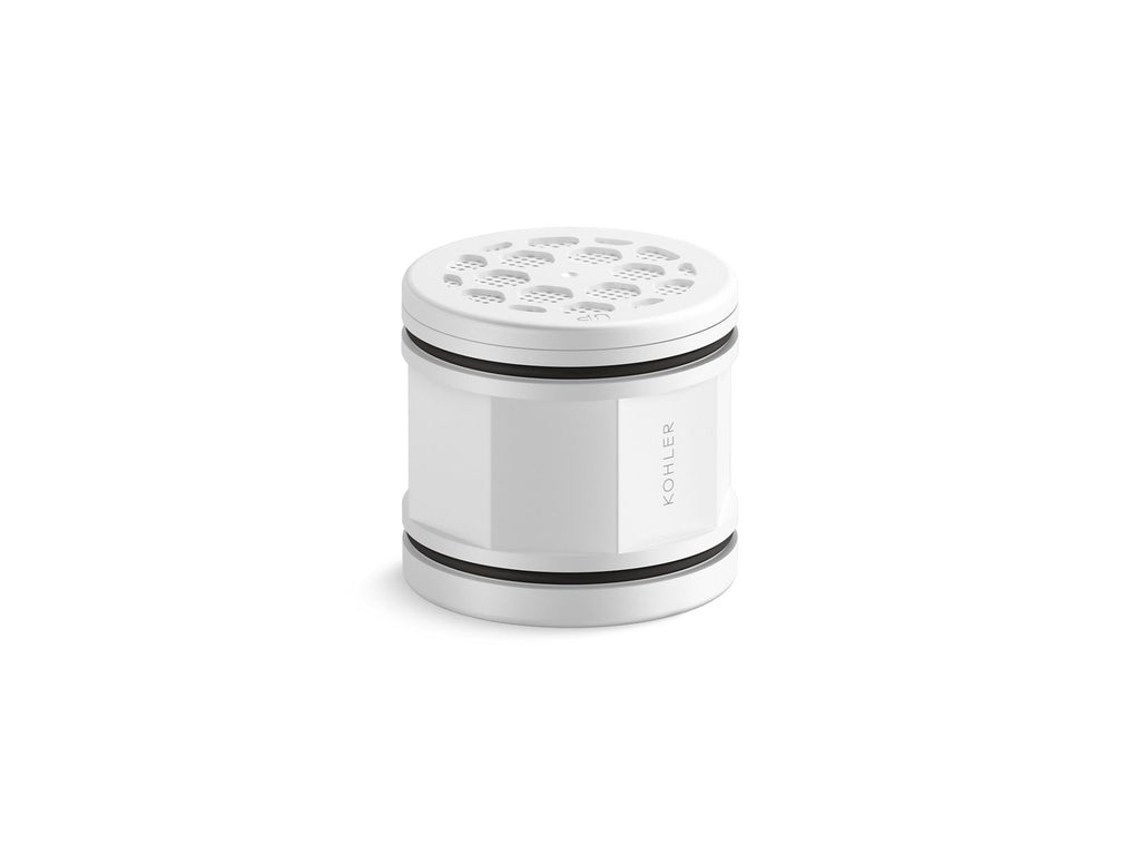 KOHLER K-33632-NA Showerhead Replacement Filter