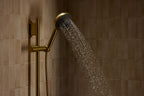 KOHLER K-28682-Y-BL Spaviva Two-Function Handshower With All-In-One Cleansing Device, 2.5 Gpm - Matte Black
