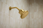 KOHLER K-33631-Y-2MB Cinq Round Single-Function Filtered Showerhead, 2.5 Gpm - Vibrant Brushed Moderne Brass