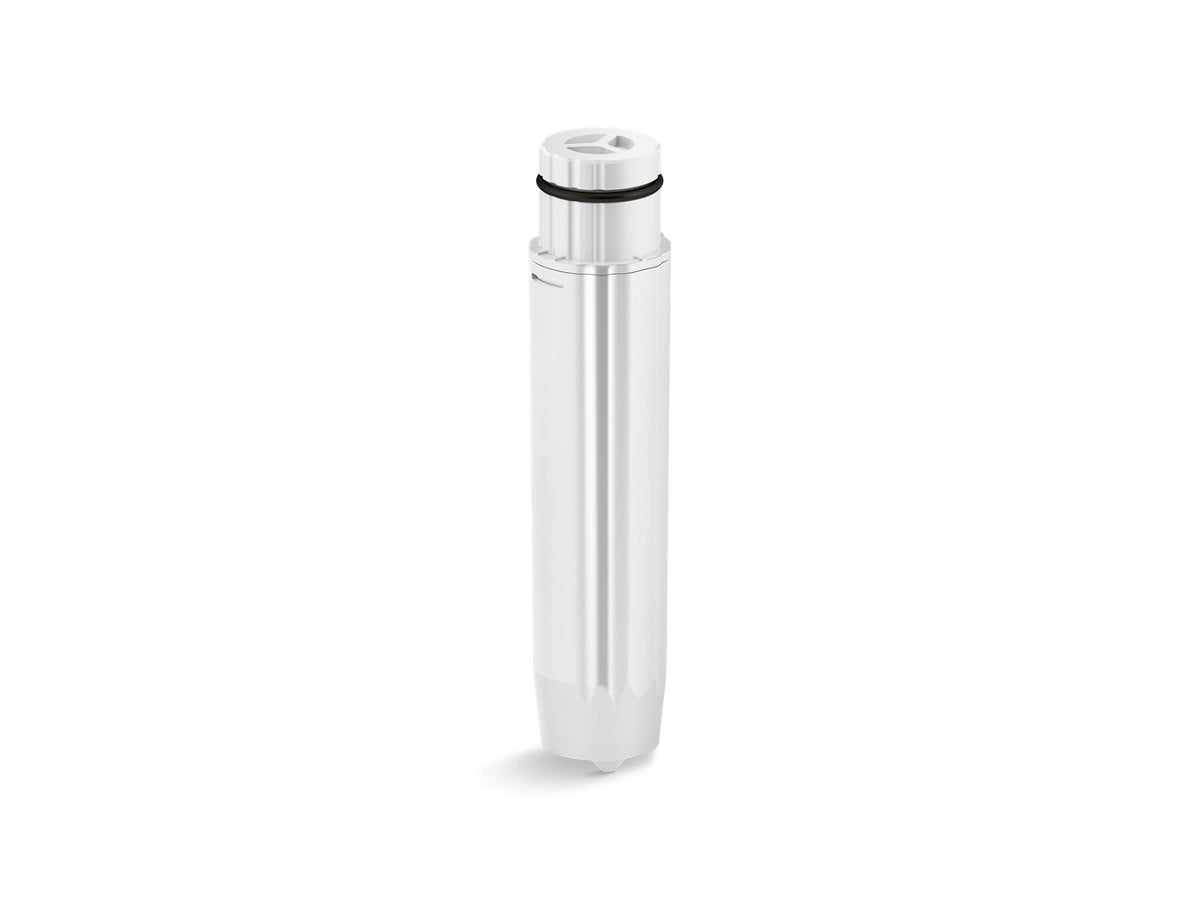 KOHLER K-38234-NA Handshower Replacement Filter (2-Pack)