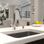HANSGROHE 04505000 Focus HighArc Kitchen Faucet, 2-Spray Pull-Down, 1.75 GPM - Chrome