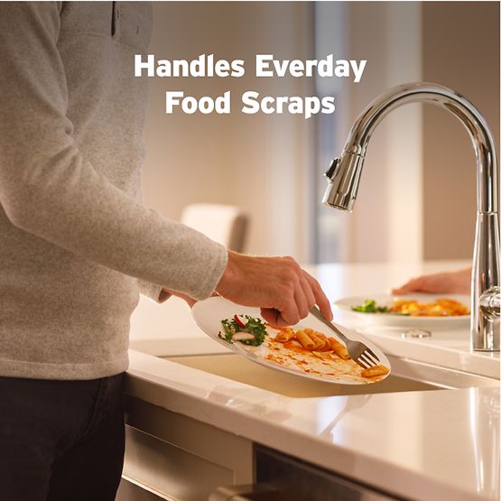 INSINKERATOR 79879-ISE Badger 100 - BADGER100