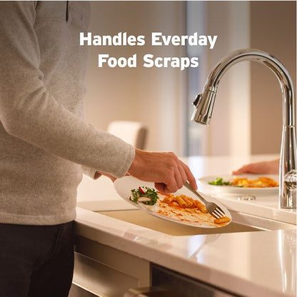 INSINKERATOR 79879-ISE Badger 100 - BADGER100