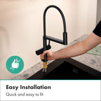 HANSGROHE 72861671 Talis N Semi-Pro PowderSpray Kitchen Faucet 1.75 GPM - Matte Black