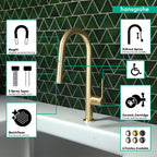 HANSGROHE 72850251 Talis N HighArc Kitchen Faucet, A-Style, 2-Spray Pull-Down, with sBox, 1.75 GPM - Brushed Gold Optic