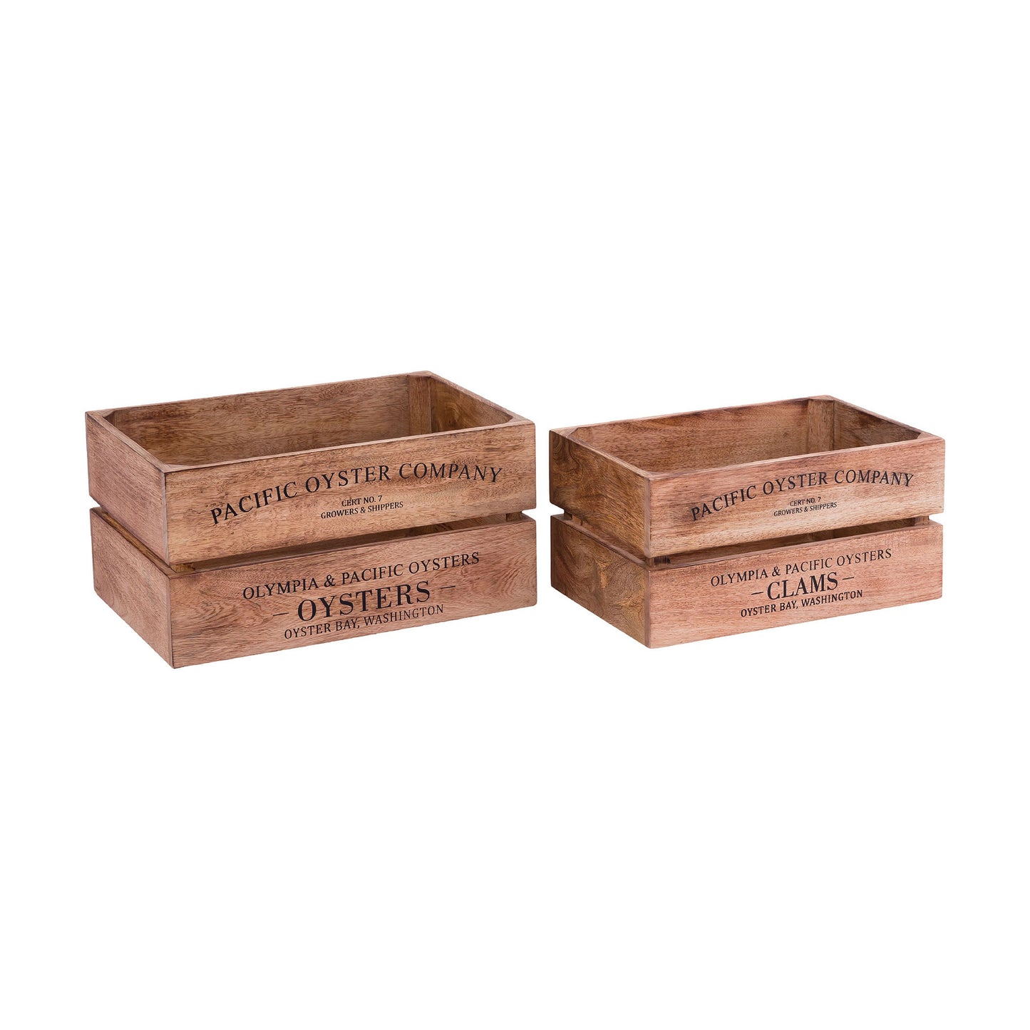 ELK STUDIO BOX001 Oysters and Clams Boxes (Set of 2)