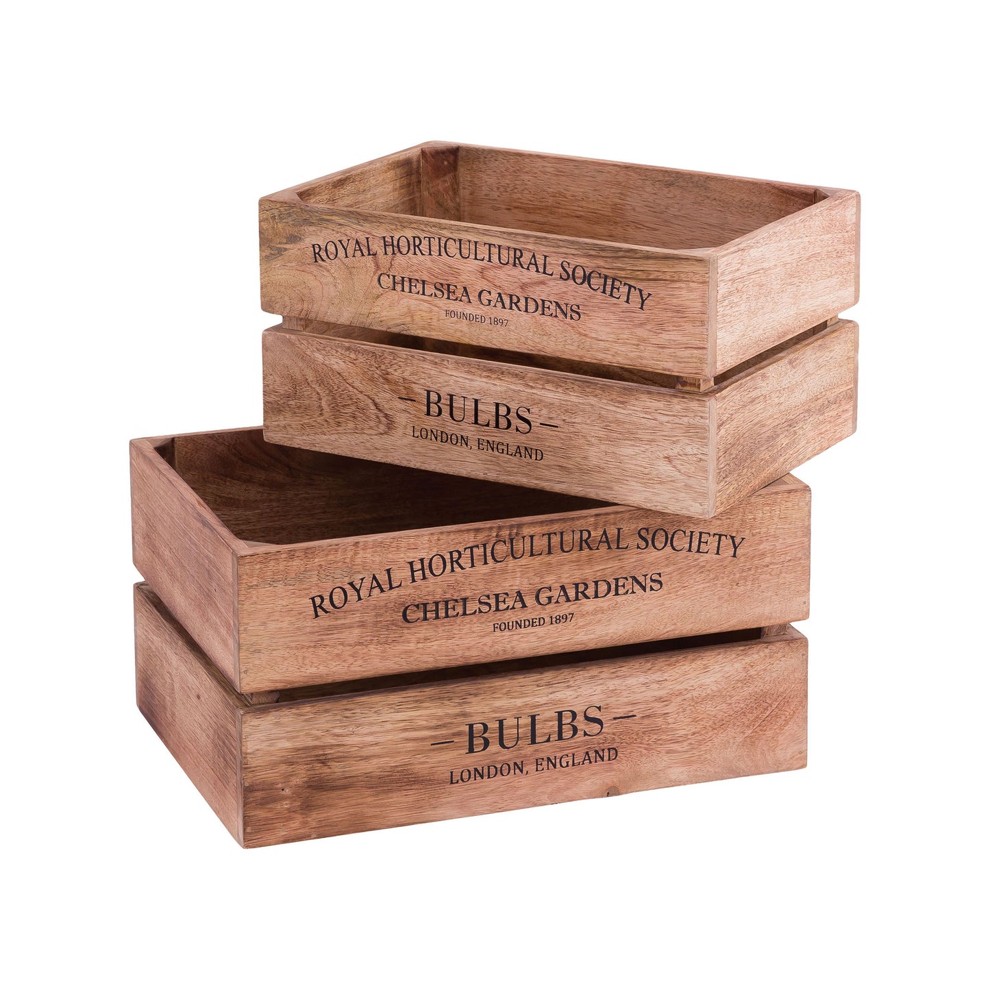 ELK STUDIO BOX002 English Bulbs Boxes (Set of 2)