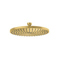 AXOR 28612251 ShowerSolutions Showerhead  240 1-Jet Powder Rain, 2.5 GPM - Brushed Gold Optic