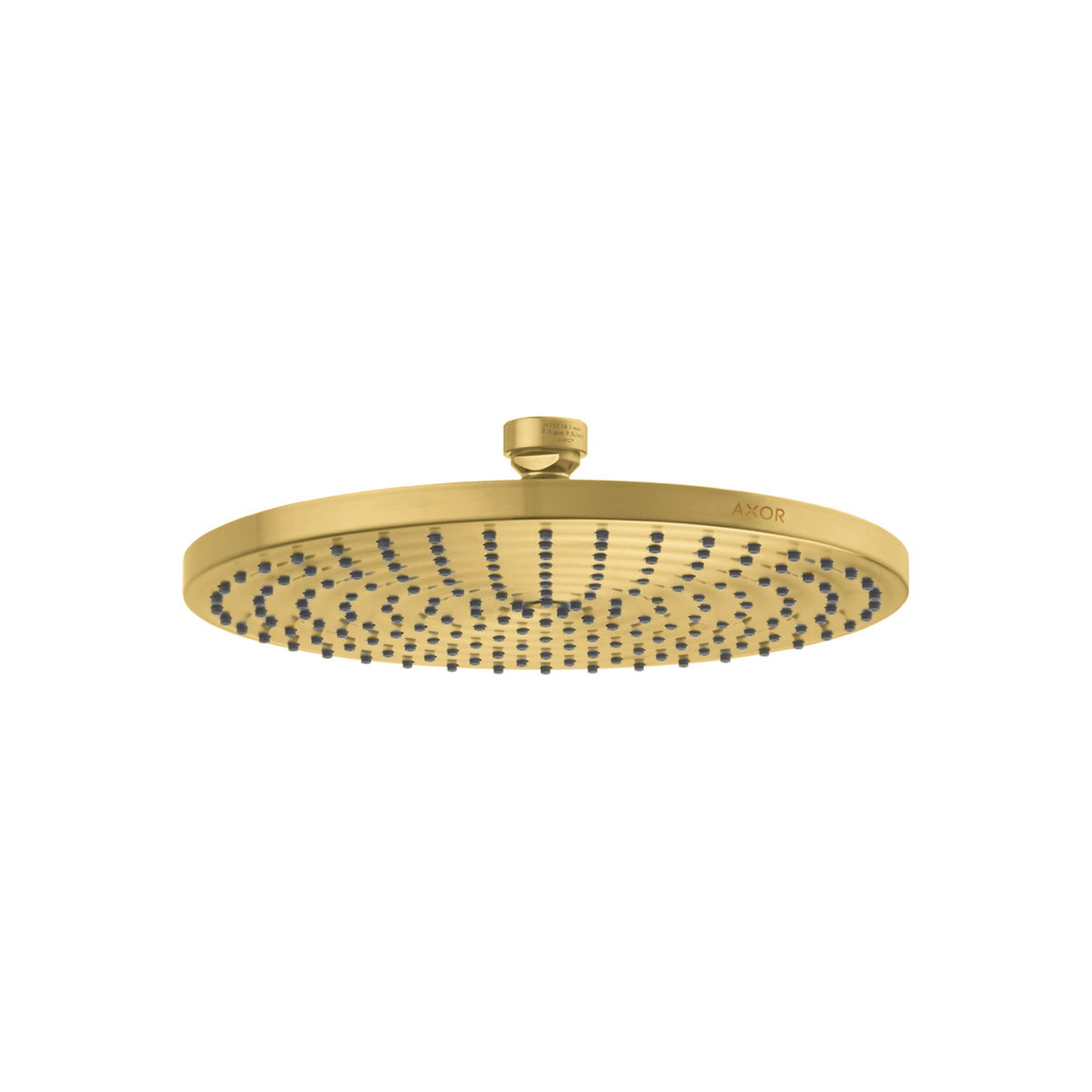 AXOR 28612251 ShowerSolutions Showerhead  240 1-Jet Powder Rain, 2.5 GPM - Brushed Gold Optic