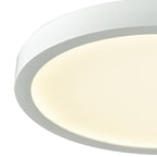 THOMAS CL781234 Titan 10'' Wide 1-Light Flush Mount - White