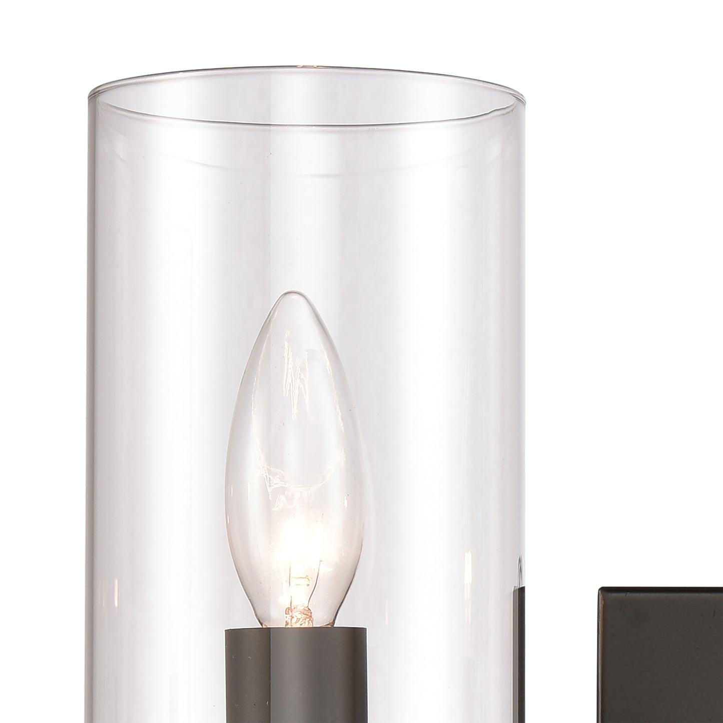 THOMAS CN290216 Oakland 13.5'' Wide 2-Light Vanity Light - Black