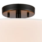 THOMAS CN290286 Oakland 16'' Wide 2-Light Semi Flush Mount - Black