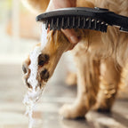 HANSGROHE 04973670 Dog Shower Dog Shower + Quick Connect, 3-Spray, 1.75 GPM, - Black
