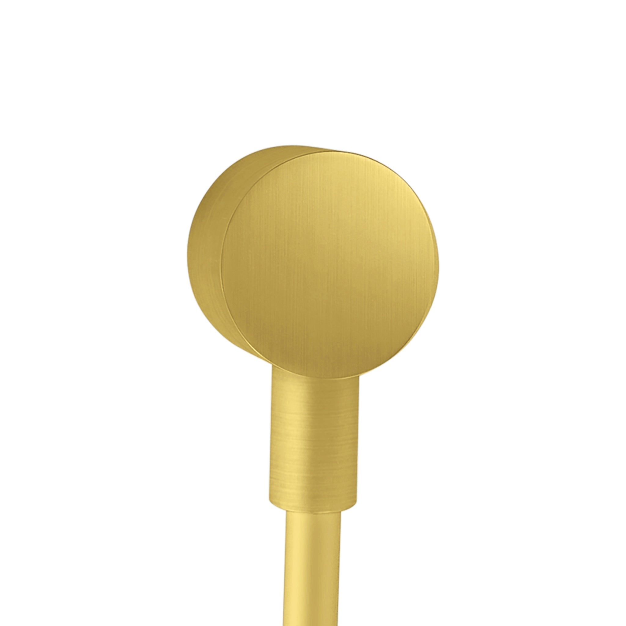 AXOR 27451251 ShowerSolutions Wall Outlet with Check Valves - Brushed Gold Optic
