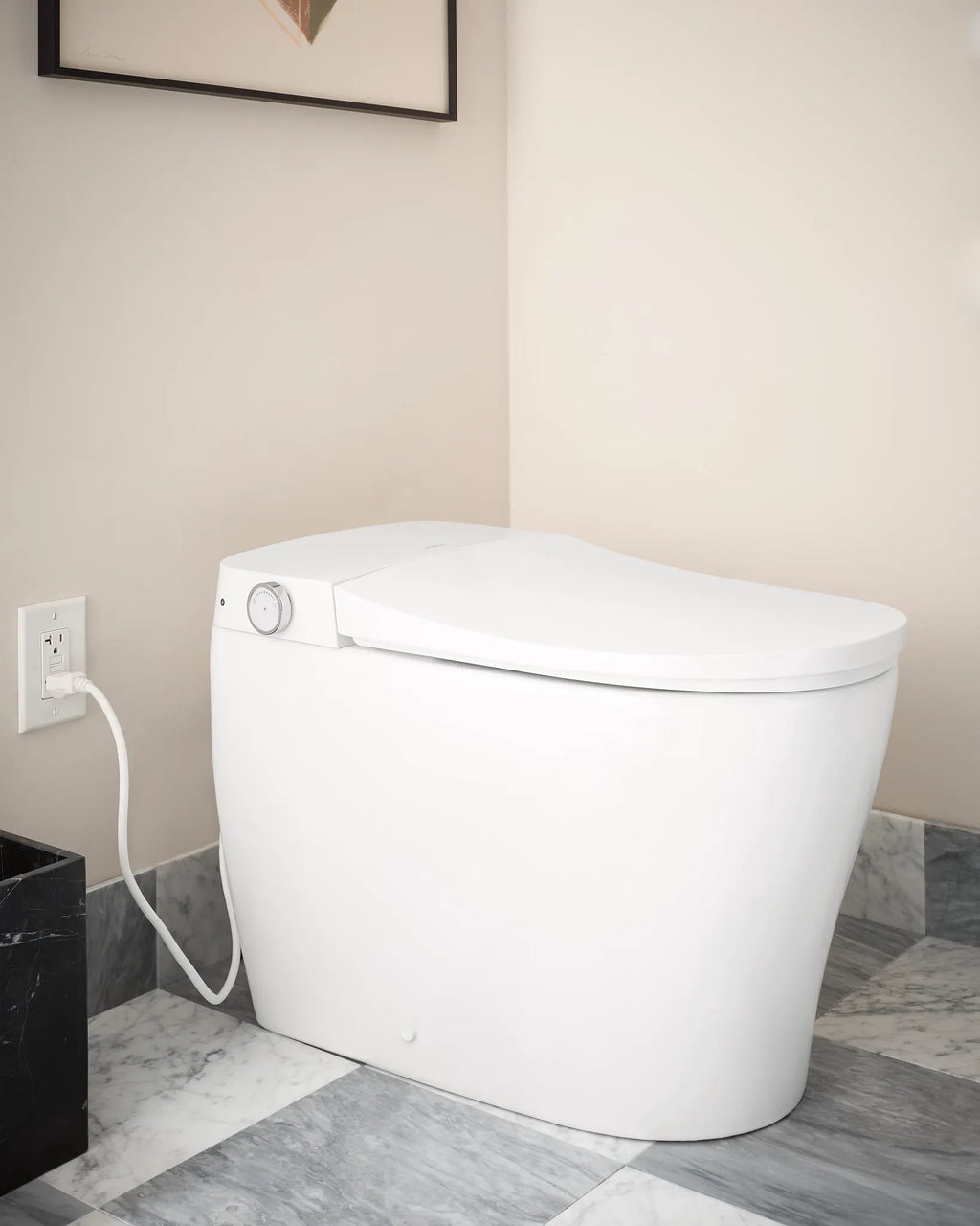 MOEN ET900 2-Series Electronic Cleansing Toilet - White