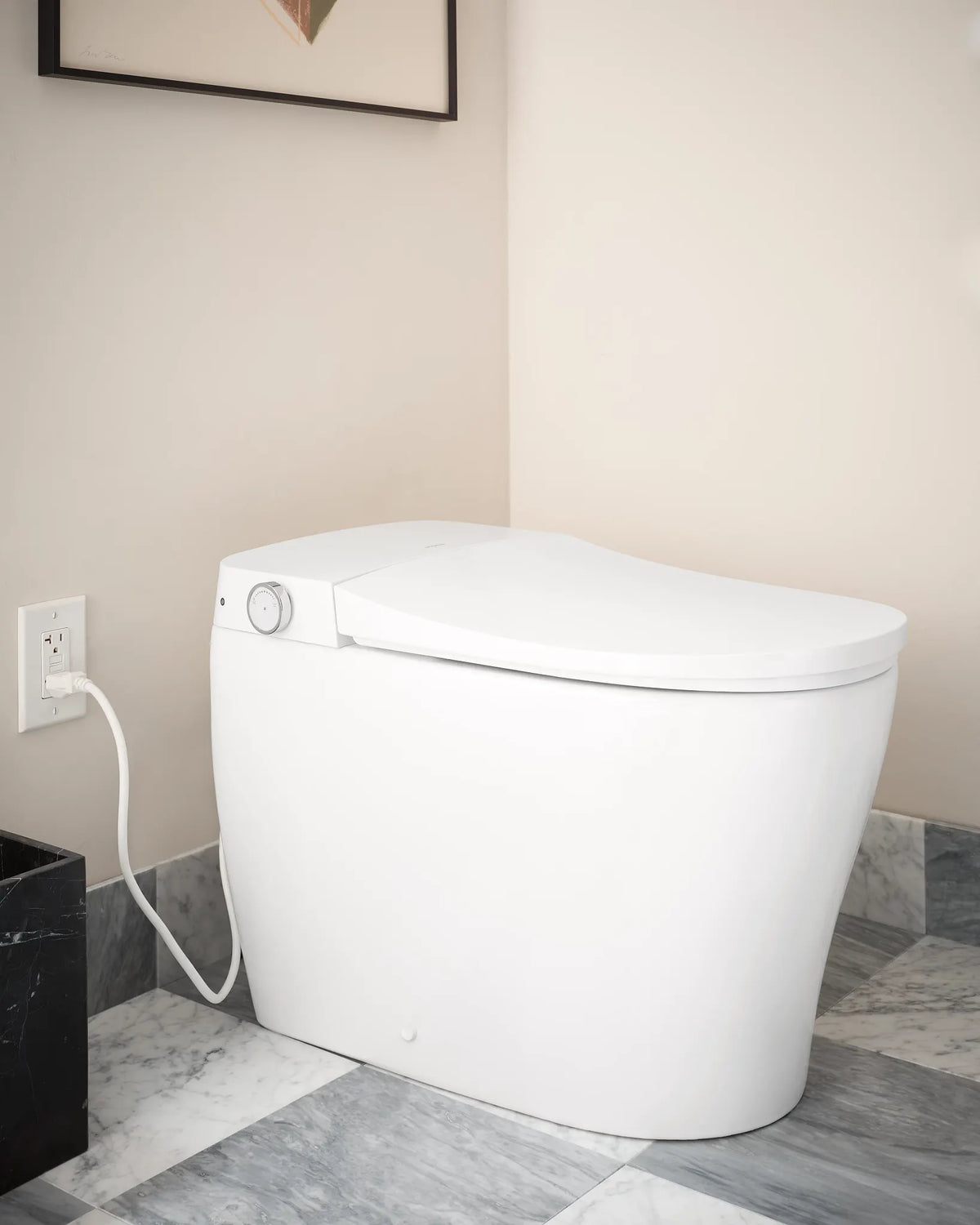 MOEN ET900 2-Series Electronic Cleansing Toilet - White