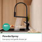HANSGROHE 72861671 Talis N Semi-Pro PowderSpray Kitchen Faucet 1.75 GPM - Matte Black
