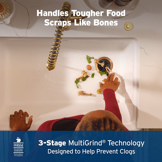 INSINKERATOR EVOLUTION SEPTIC GUARD  -  80024-ISE