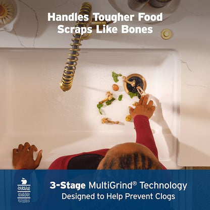 INSINKERATOR EVOLUTION SEPTIC GUARD  -  80024-ISE