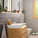 HANSGROHE 72557001 Rebris E Single-Hole Faucet 110 with Pop-Up Drain, 1.2 GPM - Chrome