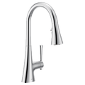 MOEN F9126 Kurv Pulldown Kitchen 3 In 1 Water Filtration Faucet - Chrome