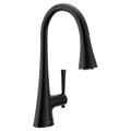 MOEN F9126BL Kurv Pulldown Kitchen 3 In 1 Water Filtration Faucet - Matte Black
