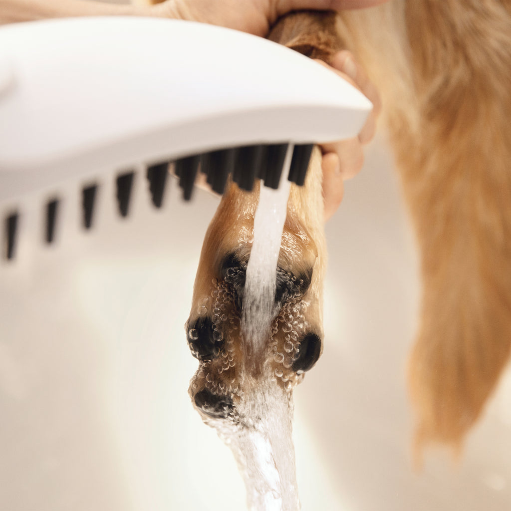 HANSGROHE 04973700 Dog Shower Dog Shower + Quick Connect, 3-Spray, 1.75 GPM, - White