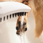 HANSGROHE 04973700 Dog Shower Dog Shower + Quick Connect, 3-Spray, 1.75 GPM, - White
