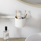 HANSGROHE 27921700 WallStoris Tumbler - Matte White