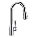 BLANCO 442209 Atura Atura Pull-Down Dual-Spray Bar Faucet - Chrome in Chrome