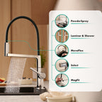 HANSGROHE 72861831 Talis N Semi-Pro PowderSpray Kitchen Faucet 1.75 GPM - Polished Nickel