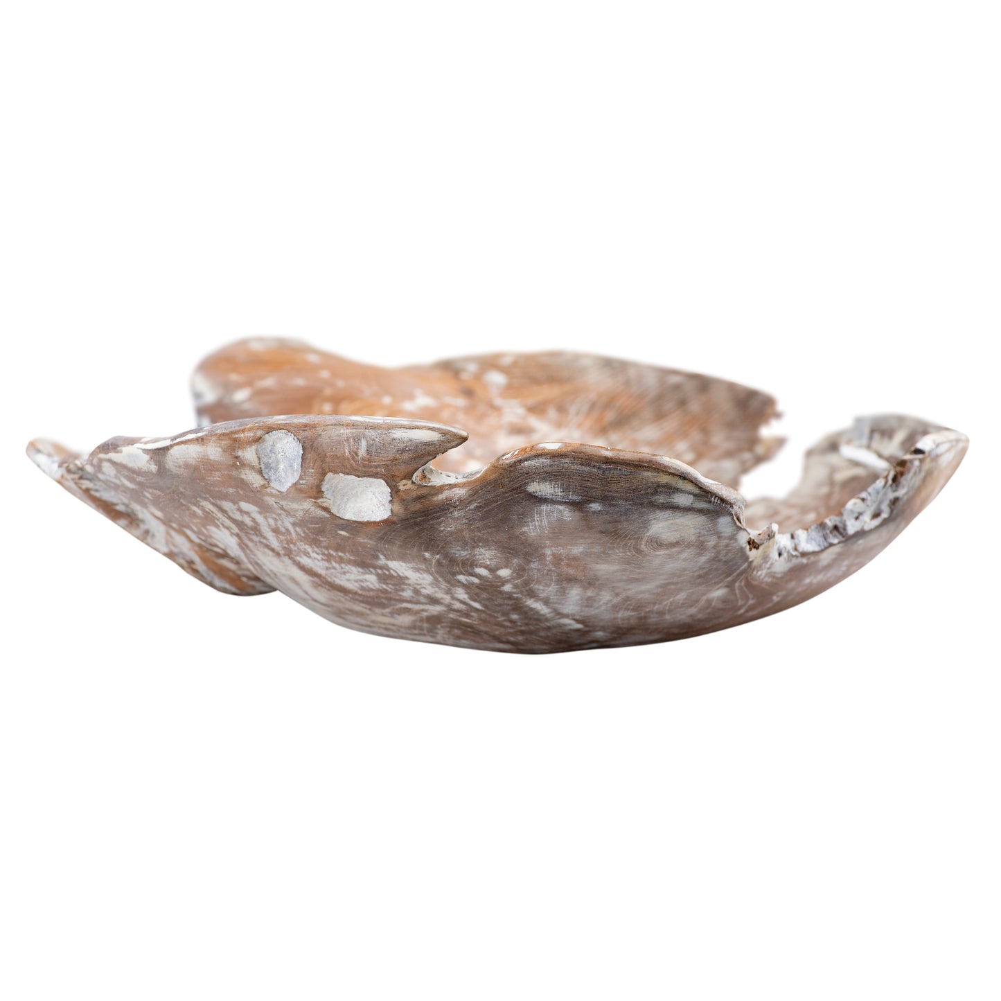 ELK SIGNATURE H0627-10910 Charbin Bowl - White