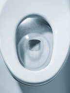 TOTO MS902CUMFG#01 Neorest Nx1 Dual Flush 1.0 Or 0.8 Gpf Toilet With Integrated Bidet Seat - Cotton White