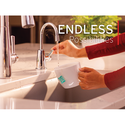 INSINKERATOR 45675-ISE Instant Hot Water Dispenser System, Single-Handle Faucet with 2/3-Gallon Stainless Steel Tank - H250C-SS