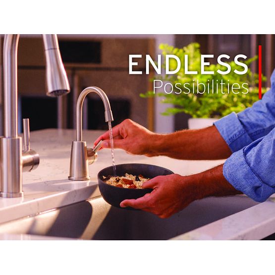 INSINKERATOR H250SN-SS Instant Hot Water Dispenser System, Single-Handle Faucet with 2/3-Gallon Stainless Steel Tank