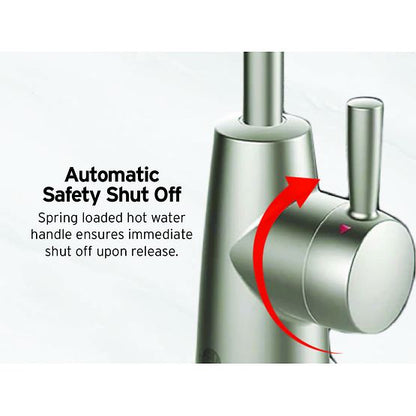 INSINKERATOR 45675A-ISE Instant Hot Water Dispenser System, Single-Handle Faucet with 2/3-Gallon Stainless Steel Tank - H250SN-SS