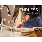 INSINKERATOR HC250C-SS Instant Hot & Cold Water Dispenser System, 2-Handle Drinking Water Faucet with 2/3-Gallon, Stainless Steel Tank