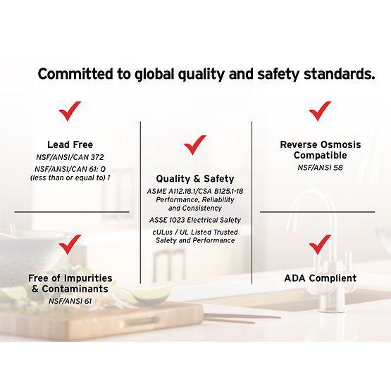 INSINKERATOR 45676A-ISE Instant Hot & Cold Water Dispenser System, 2-Handle Drinking Water Faucet with 2/3-Gallon, Stainless Steel Tank -  HC250SN-SS