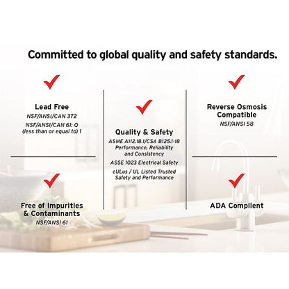 INSINKERATOR 45676A-ISE Instant Hot & Cold Water Dispenser System, 2-Handle Drinking Water Faucet with 2/3-Gallon, Stainless Steel Tank -  HC250SN-SS