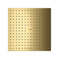 AXOR 35315991 ShowerSolutions Showerhead 250 Square 2-Jet, 1.75 GPM - Polished Gold Optic