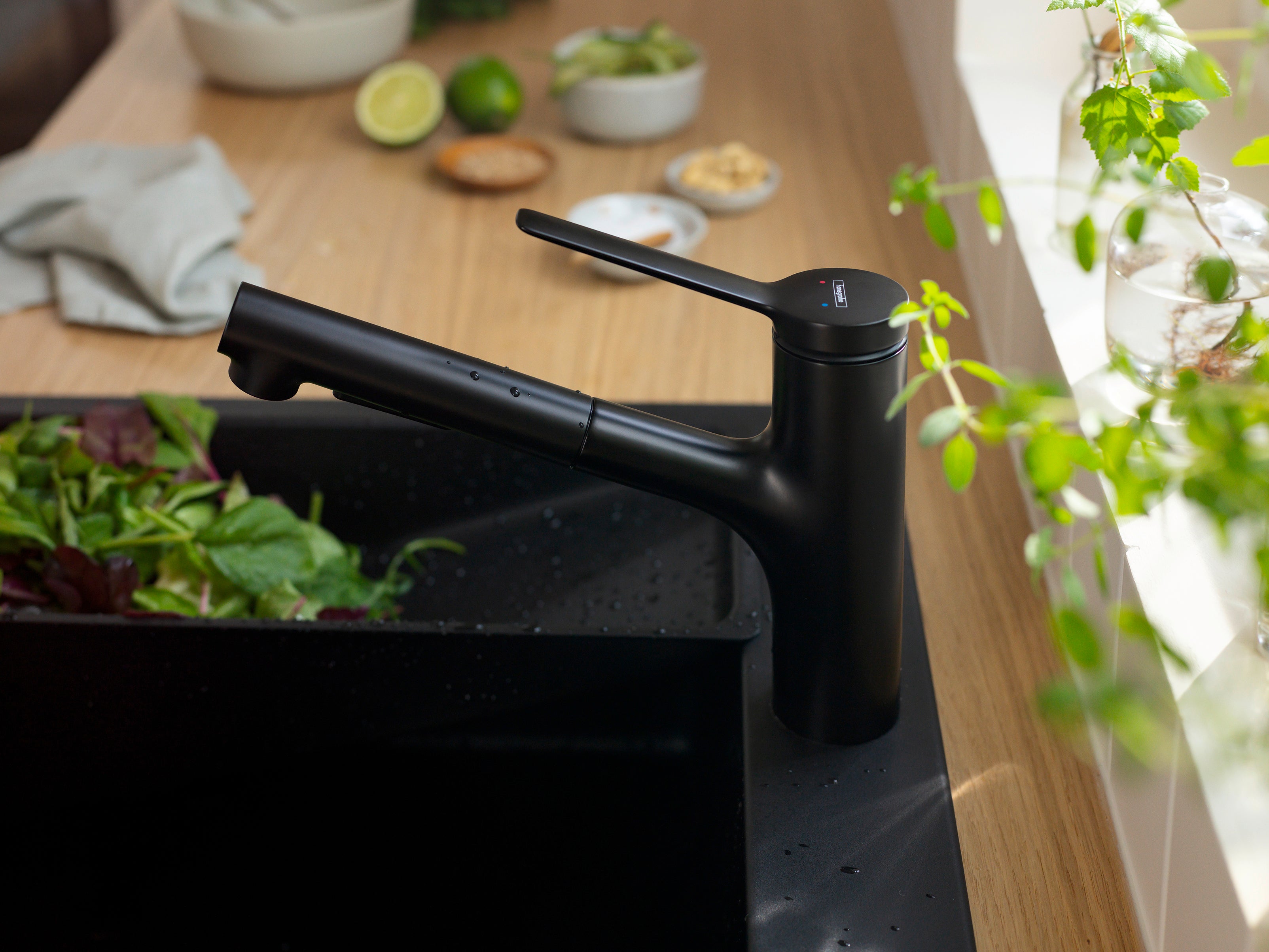HANSGROHE 74800671 Zesis Kitchen Faucet 2-Spray, Pull-Out, 1.75 GPM - Matte Black