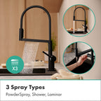 HANSGROHE 72861671 Talis N Semi-Pro PowderSpray Kitchen Faucet 1.75 GPM - Matte Black
