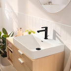 HANSGROHE 72517671 Rebris S Single-Hole Faucet 110 with Pop-Up Drain, 1.2 GPM - Matte Black