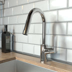 HANSGROHE 04506001 Focus Prep Kitchen Faucet, 2-Spray Pull-Down, 1.75 GPM - Chrome