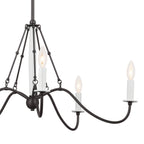 KICHLER 52455AVI Freesia 31.25" 5 Light Chandelier Anvil Iron