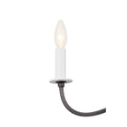 KICHLER 52455AVI Freesia 31.25" 5 Light Chandelier Anvil Iron